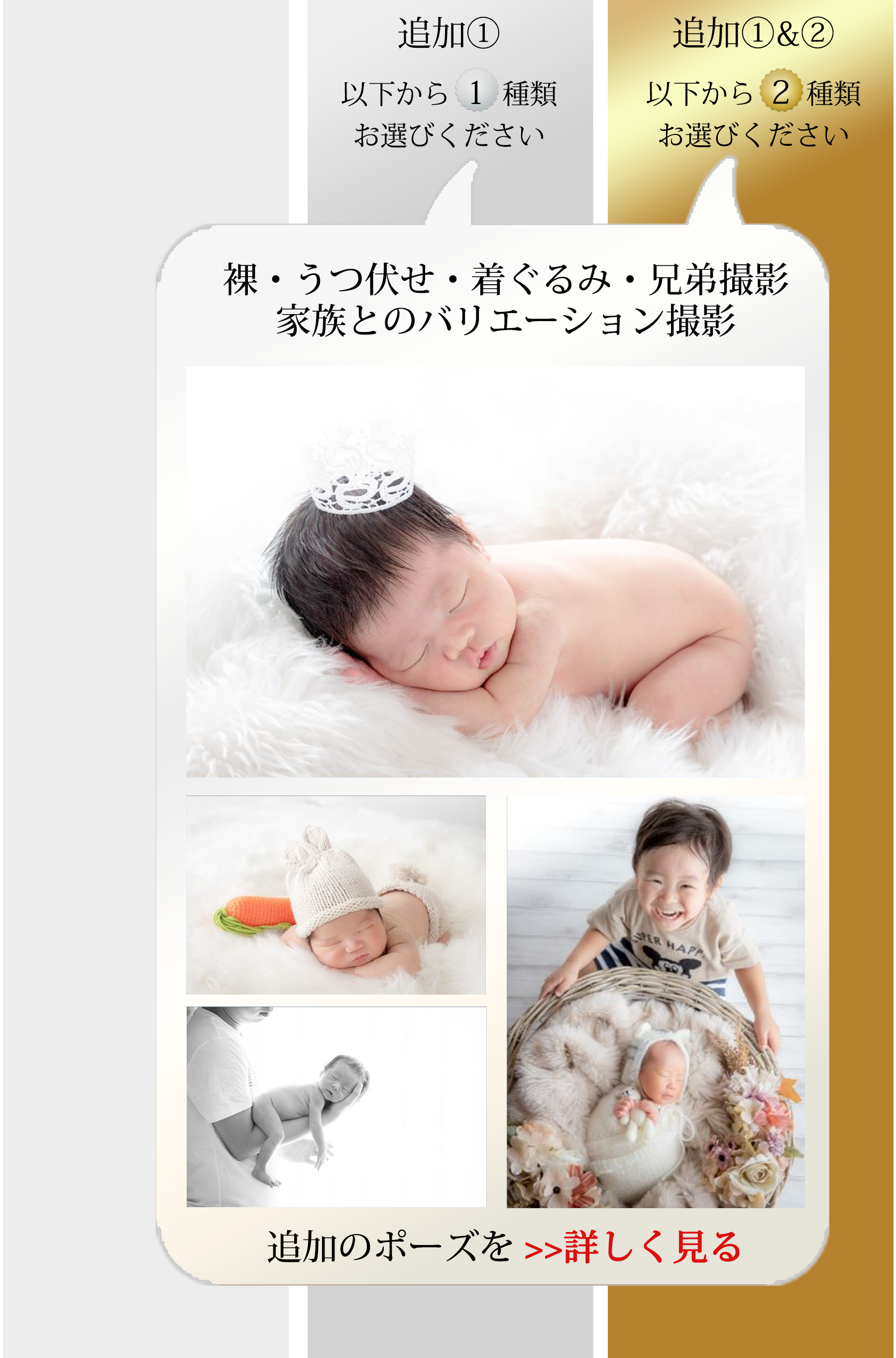 静岡県西部中部のニューボーンフォト・新生児フォトははぱしゃ料金表